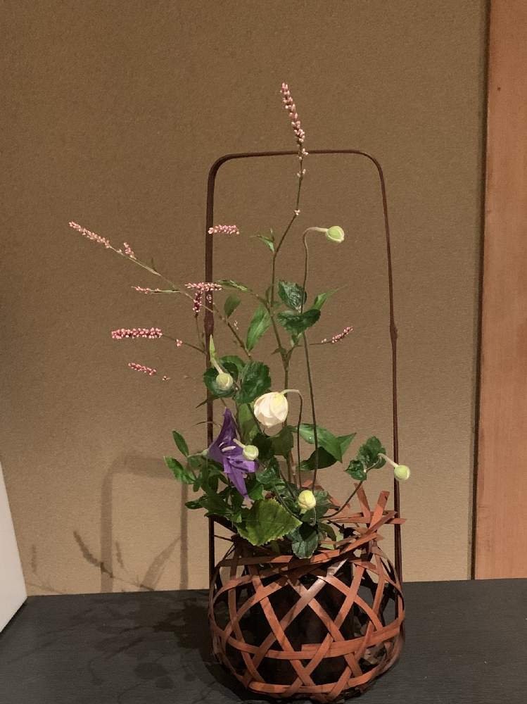 桔梗の投稿画像 By よちよちさん 秋明菊とイヌタデと部屋と紫の花と生け花と生け花のある暮らしと紫の花と生け花と生け花のある暮らし 月10月10日 Greensnap グリーンスナップ Greensnap グリーンスナップ