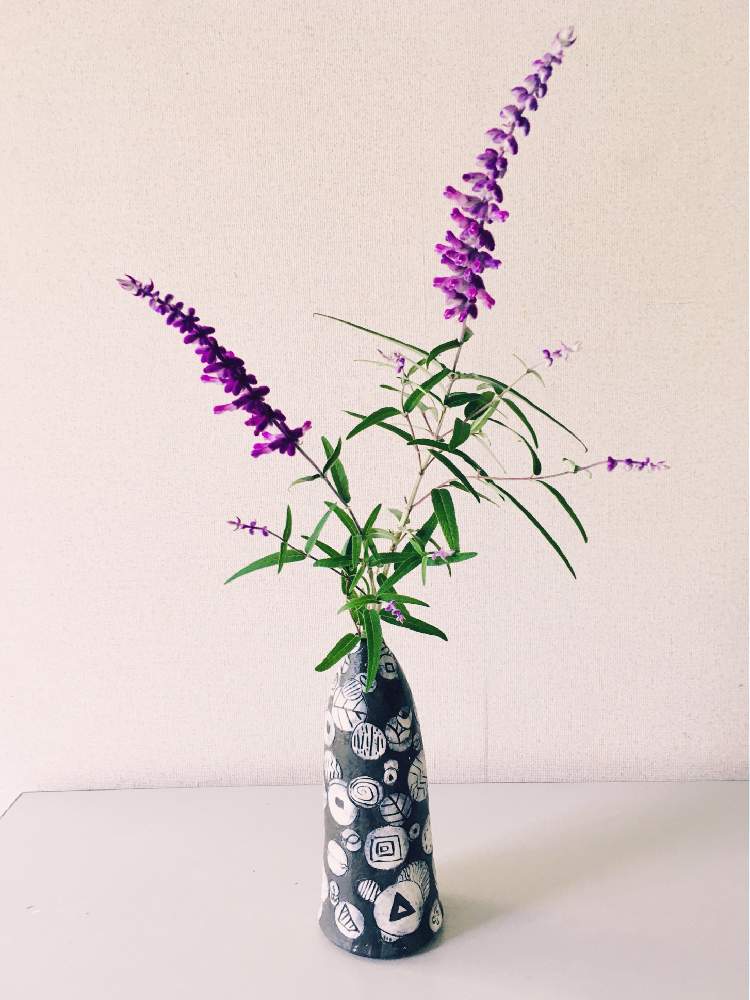 アメジストセージの投稿画像 By ツバキさん ハーブと一輪挿しと庭に咲く花と手作り花瓶 月10月11日 Greensnap グリーンスナップ