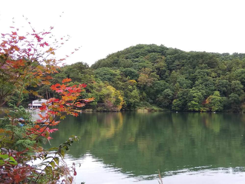 綺麗な紅葉の投稿画像 By Mikiさん 季節を楽しむと素敵な風景 月10月11日 Greensnap グリーンスナップ