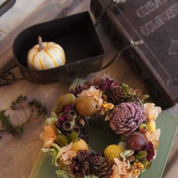 秋リースの投稿画像一覧 Greensnap グリーンスナップ