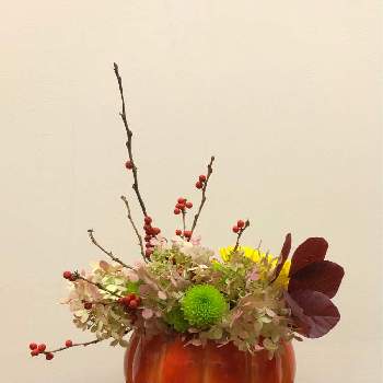 パンプキンの画像 by sasukemama（T・Henty）さん | 部屋とフレッシュフラワーアレンジメントとパンプキンとアジサイ　ノリウツギとおうち園芸とアメリカの景色と生花と花のある暮らしと小菊いろいろとアレンジメントとIKEBANAとアメリカの野生植物