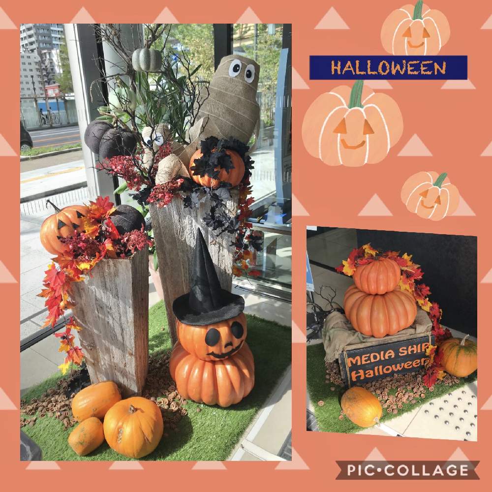 お出かけ先の投稿画像 By ブラックベリーさん 元気いっぱいとハロウィンディスプレイとハロウィーンとディスプレイとハロウィン アレンジ と元気いっぱいとハロウィンディスプレイとハロウィーンとディスプレイとハロウィンアレンジ 月10月13日