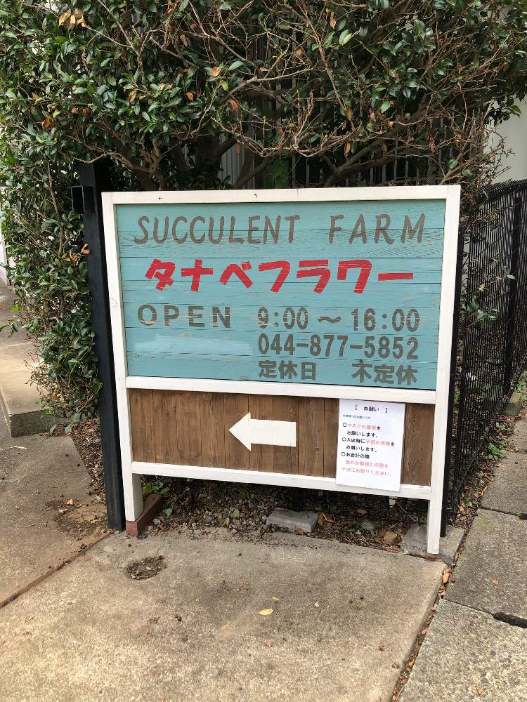 タナベフラワーさん Greensnap グリーンスナップ