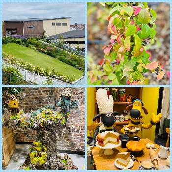 南町田グランベリーパークの投稿画像一覧 Greensnap グリーンスナップ