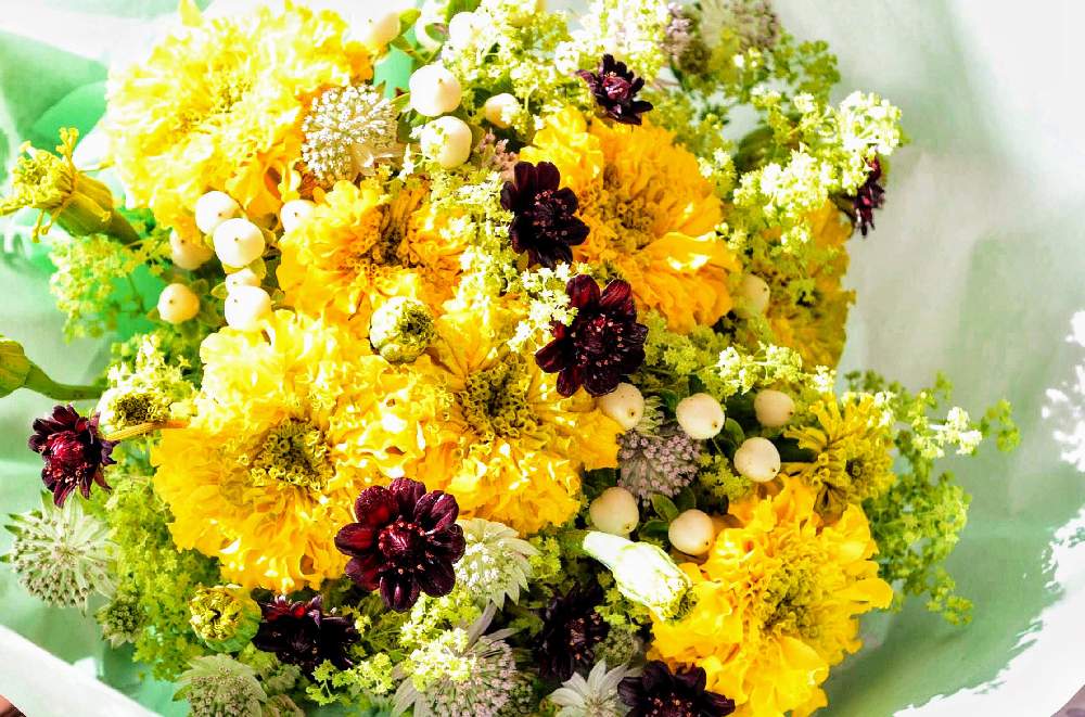 花言葉の投稿画像 By Tamaki Flowerさん 誕生花とマリーゴールド とインドのバラ 月10月16日 Greensnap グリーンスナップ