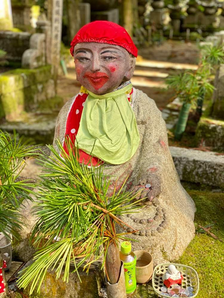 コウヤマキの投稿画像 By じゅんさん コウヤマキ 高野槙 とお参りと高野山と高野山 奥の院 月10月17日 Greensnap グリーンスナップ