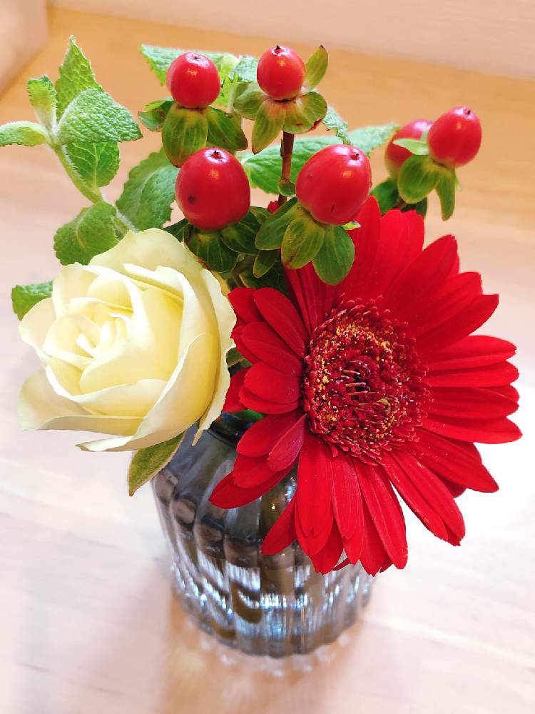 ガーベラの投稿画像 By Go Round さん バラとヒペリカムと切花と魔法の花瓶とお花のサブスクと花のある暮らしと花が好き 月10月18日 Greensnap グリーンスナップ