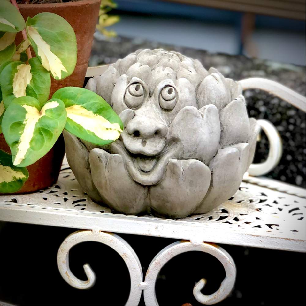 ガーデニングの投稿画像 By まきぽんさん オーナメントとワンダーデコール 月10月19日 Greensnap グリーンスナップ