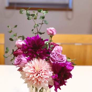 ナイチンゲール バラの投稿画像一覧 Greensnap グリーンスナップ