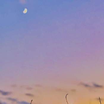 空を……☆★☆の画像 by キラライ　ブツ子さん | collaboキラと空を……☆★☆と三日月と夕焼け空のコラボ