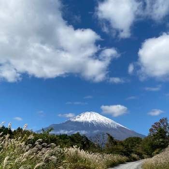 富士山とススキの投稿画像一覧 Greensnap グリーンスナップ