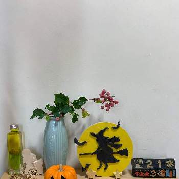 おもちゃかぼちゃの画像 by ばあばさん | 玄関とおもちゃかぼちゃとハロウィン カボチャとハロウィンと組み木とハロウィンアレンジ♪2020とハロウィン月間