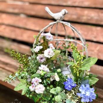 鳥かごアレンジの投稿画像一覧 Greensnap グリーンスナップ