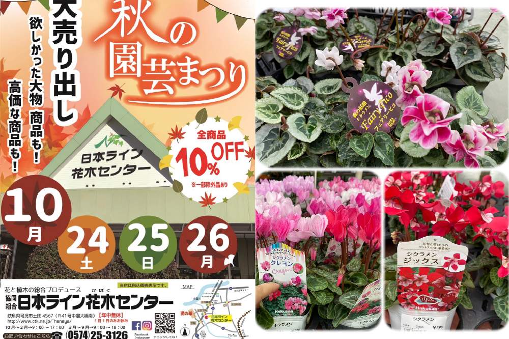 日本ライン花木センターへ花を買いに行ってきました Greensnap グリーンスナップ