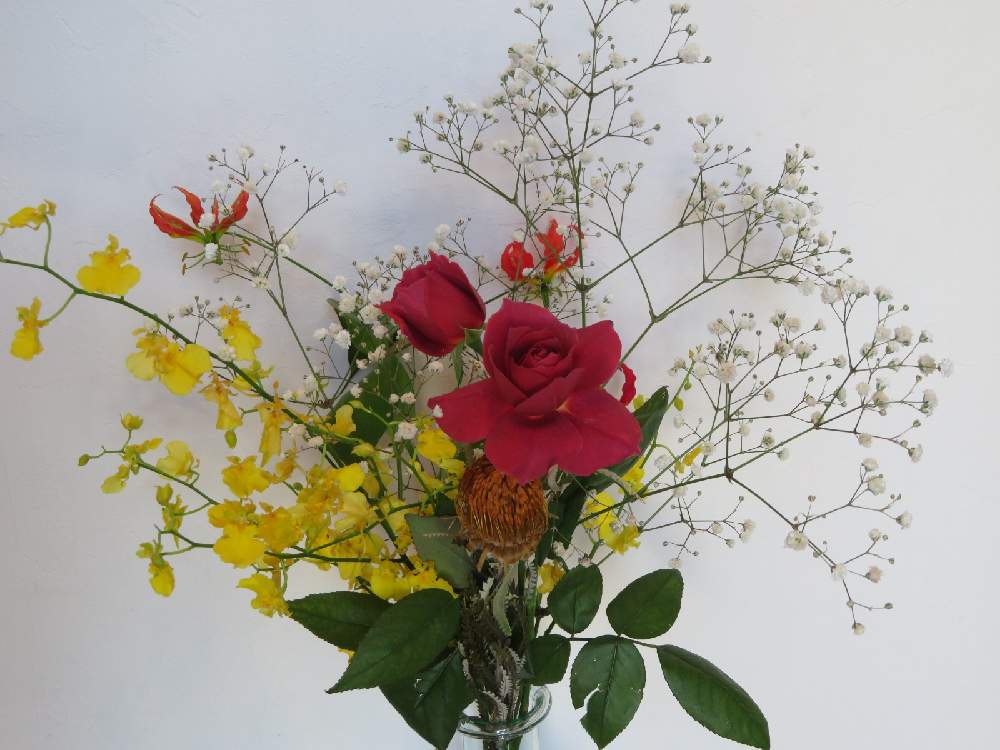 オンシジウムの投稿画像 By さいたまつぼみさん カスミソウとバラとグロリオサとドライアンドラと埼玉県と埼玉万歳とカラフルな花と花いっぱいプロジェクトと部屋とつぼみのアレンジと埼玉県と埼玉万歳とカラフルな花と花いっぱいプロジェクトとつぼみのアレンジ 月 オンシジウムの投稿画像 By さいたまつぼみさん カスミソウとバラとグロリオサとドライアンドラと埼玉県と埼玉万歳とカラフルな花と花いっぱいプロジェクトと部屋とつぼみのアレンジと埼玉県と埼玉万歳とカラフルな花と花いっぱいプロジェクトとつぼみのアレンジ 月