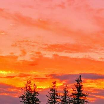 あさひの画像 by みいちゃんさん | 朝焼けと朝焼けの空と朝のウォーキングと日の出とあさひ