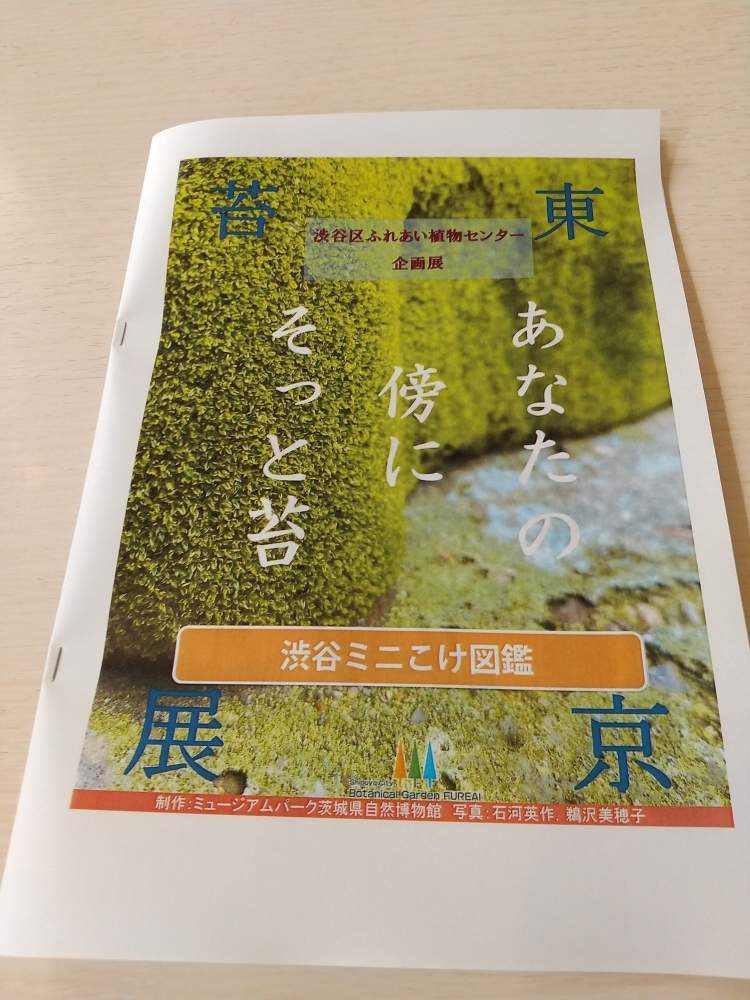 苔 コケ の投稿画像 By モス吉さん みんなのコケ図鑑とゆるっと苔愛好会と渋谷区ふれあい植物センターとコケ植物と コケと苔活と苔 こけ 月10月27日 Greensnap グリーンスナップ