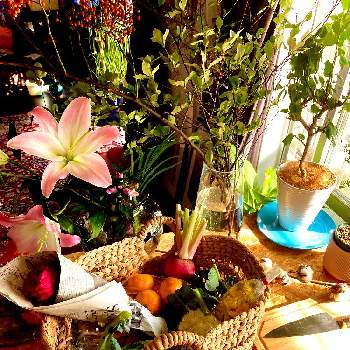 ドウダンツヅジの画像 by ozeki fumiyasuさん | キッチンとバラとドウダンツヅジと花のある暮らしと直売所と出会いに感謝♡