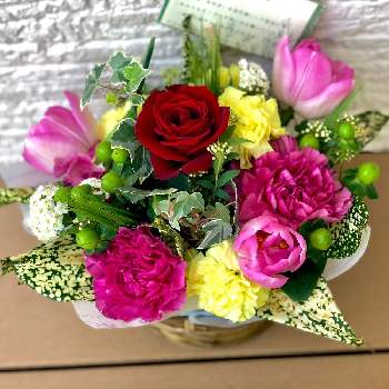 お花のプレゼントの画像 by hinamama ♡さん | インテリアとお花のプレゼント