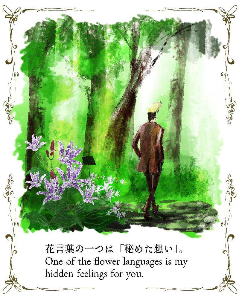 ホトトギスの投稿画像 By Ichikawa Kazuhiroさん イラストと植物のイラスト 月10月 29日 Greensnap グリーンスナップ