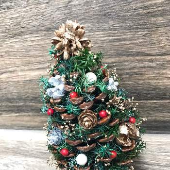 松ぼっくりツリーの画像 by プクマムさん | 玄関とクリスマスツリーと大王松の松ぼっくり♡と松ぼっくりツリーと埼玉とワークショップ 