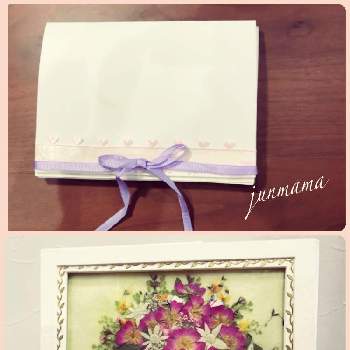 ポストカードの投稿画像一覧 Greensnap グリーンスナップ