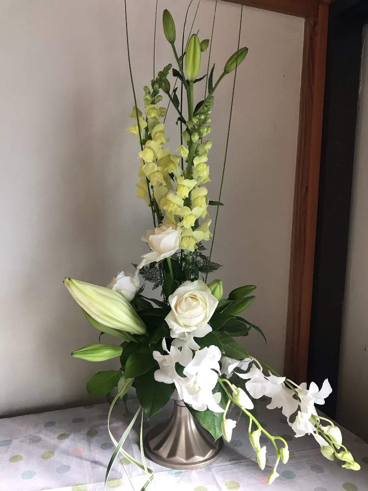 キンギョソウの投稿画像 By ひかるさん ドラセナとバラとデンファレとフラワーアレンジメント 月10月30日 Greensnap グリーンスナップ