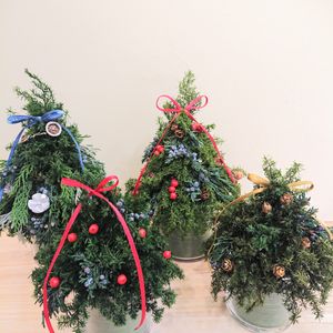 クリスマス,観葉植物,ボタニカルライフ,観葉植物専門店,プリザーブド フラワーの画像
