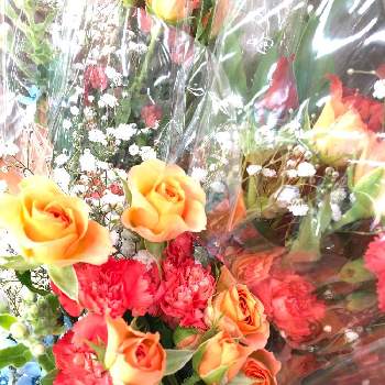 こころがほっこりの画像 by HAPPY❤️Sさん | カーネーションとスプレーバラとうちのお店とこころがほっこりと花のある暮らしとお店と組花