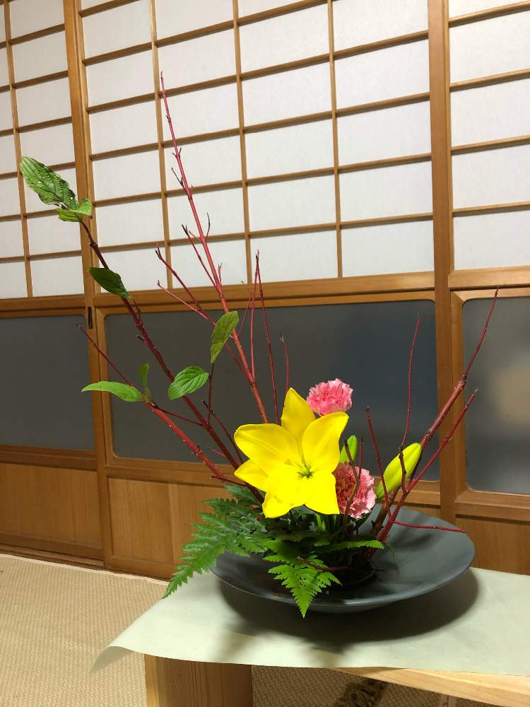 和室の投稿画像 By さきさんさん 生け花と自由花と生け花と自由花 月10月31日 Greensnap グリーンスナップ Greensnap グリーンスナップ