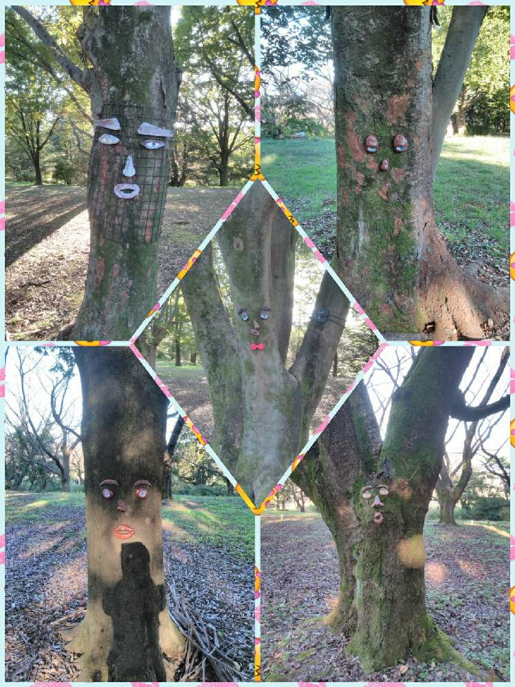 やえさんの投稿画像 月10月31日 Greensnap グリーンスナップ