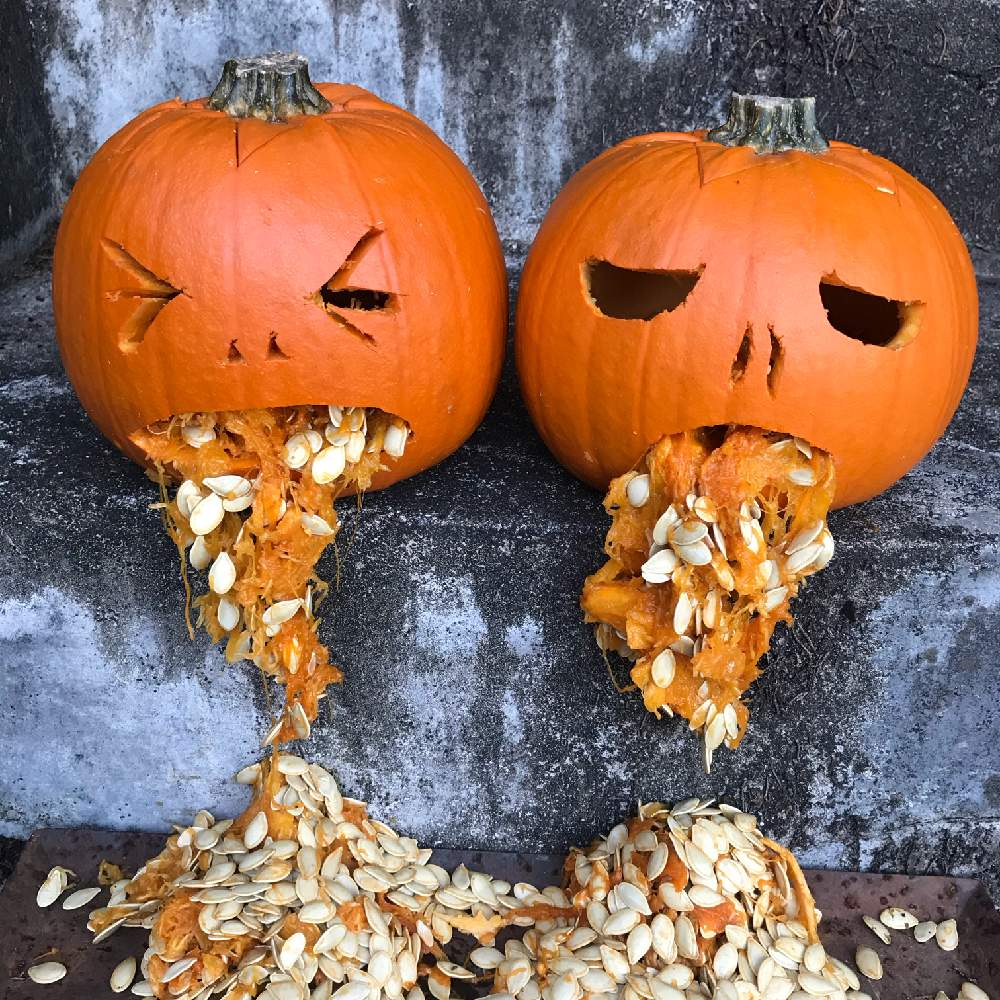 小さな庭の投稿画像 By Nontanさん パンプキンとハロウィンとハッピーハロウィンとジャック オー ランタンとハロウィンかぼちゃとパンプキンと ハロウィンとハッピーハロウィンとジャック オー ランタンとハロウィンかぼちゃ 月10月31日 Greensnap グリーン