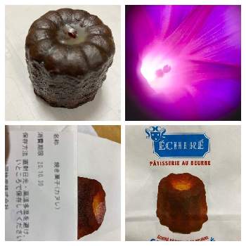 渋谷ヒカリエの投稿画像一覧 Greensnap グリーンスナップ