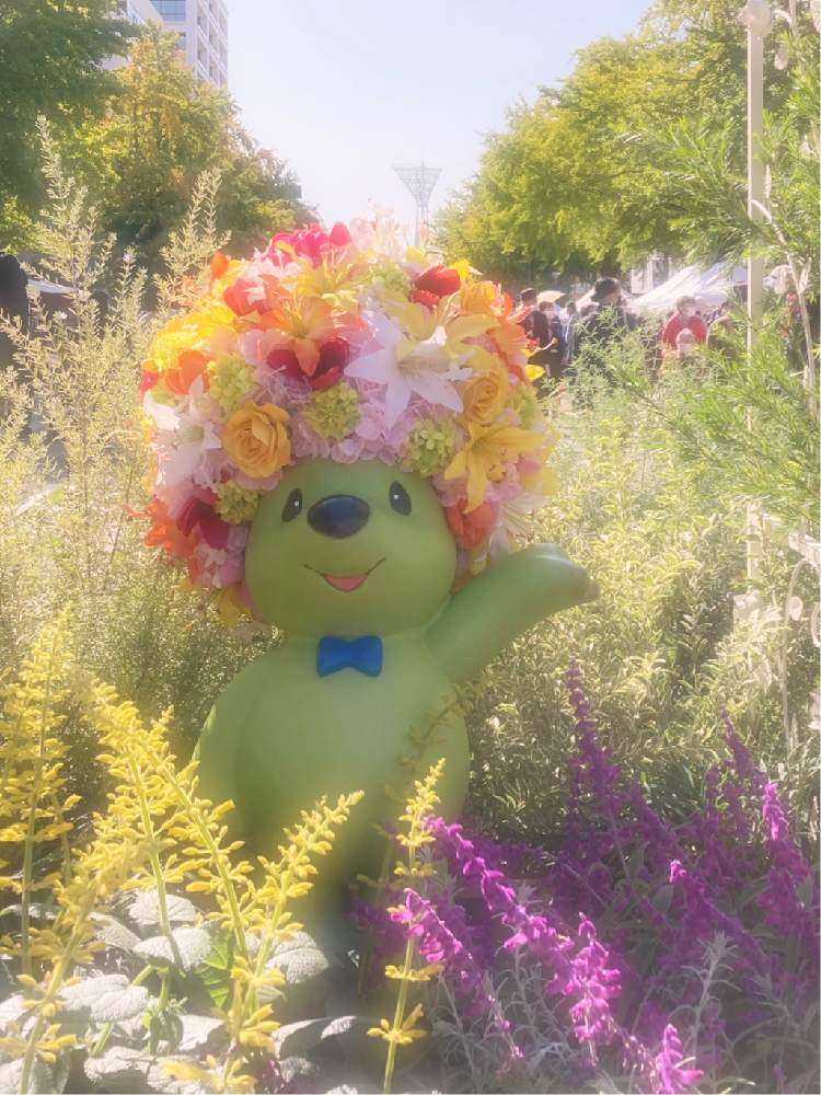イベントの投稿画像 By ピカケさん 季節の花とかわいいとお花とお出かけ先にて 月10月31日 Greensnap グリーンスナップ