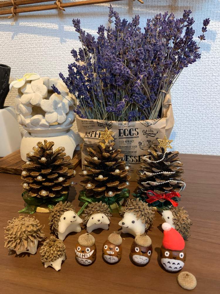 どんぐりトトロ の投稿画像 By どくぴんさん くぬぎの実とおうち園芸とハリネズミとxmas用品とクリスマス松ぼっくりとどんぐり と松ぼっくりツリーとむらさきの花と松ぼっくり と100均アレンジとどんぐり帽子のアレンジと花のある暮らしと富良野ラベンダー 月11