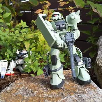 陸戦型ガンダムの投稿画像一覧 Greensnap グリーンスナップ