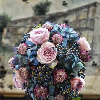ビバーナム・ティナスの画像 by tamaki-flowerさん | アストランティアの花とローズとアンティックアジサイとbouquetとビバーナム・ティナス