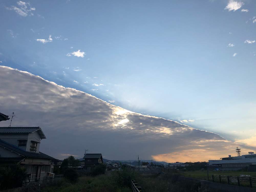 しーばあばさんの投稿画像 月11月6日 Greensnap グリーンスナップ しーばあばさんの投稿画像 月11月6日 Greensnap グリーンスナップ