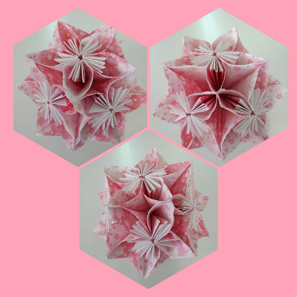 折紙花玉の投稿画像 By まみ さん お出かけ先でとさんぽ道とお出かけ先とデイサービスとお出かけ先でとさんぽ道とデイサービス 月11月7日 Greensnap グリーンスナップ Greensnap グリーンスナップ