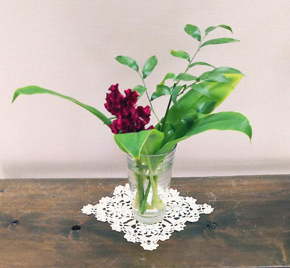 スターチスの投稿画像 By 柊木さん 月11月8日 Greensnap グリーンスナップ