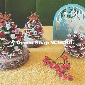 オンライン教室の画像 by GreenSnapSCHOOL公式さん | ツリーとクリスマスツリーと植物のある暮らしとオンラインワークショップとオンライン教室とGSスクール公式とおうち園芸と学びと習い事と花のある暮らしとワークショップ とGSスクールとクリスマスアレンジとオンラインレッスンとクリスマス