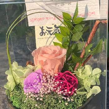 傘寿お祝いアレンジメントの投稿画像一覧 Greensnap グリーンスナップ