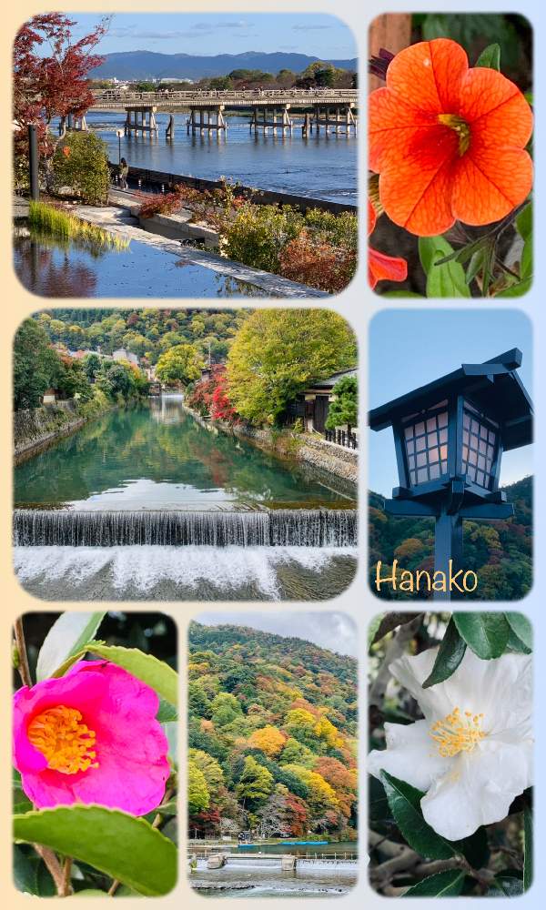 お出かけ先の画像 by ハナコさん | お出かけ先と紅葉（こうよう）と京都 嵐山と花と灯り