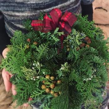 エバーグリーンの画像 by petitcoeur4さん | 部屋とフラワーレッスンと母の作品と針葉樹とエバーグリーンとリースとフラワーアレンジメントと花のある暮らしとクリスマスリースとクリスマス