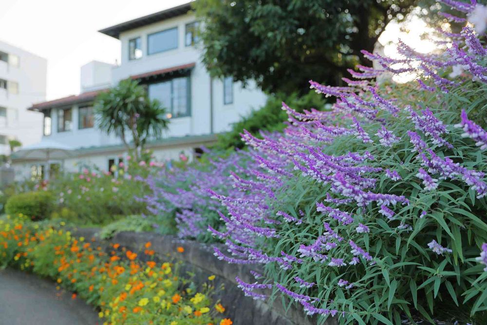 Levo327さんの港の見える丘公園への投稿