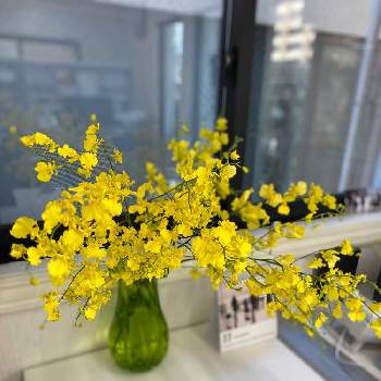 金運アップの花の投稿画像一覧 Greensnap グリーンスナップ