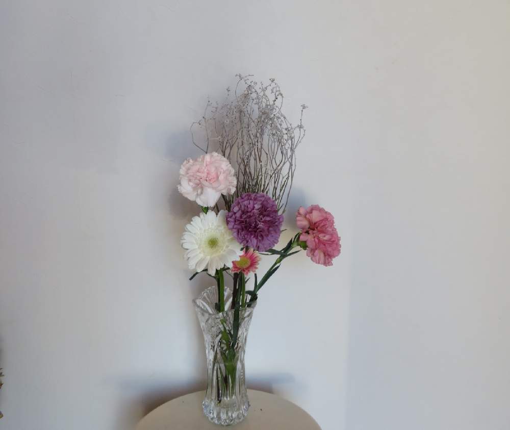 カーネーションの投稿画像 By さいたまつぼみさん ガーベラとスモークブッシュと埼玉県と埼玉万歳と花いっぱいプロジェクトとつぼみのアレンジ 月11月17日 Greensnap グリーンスナップ