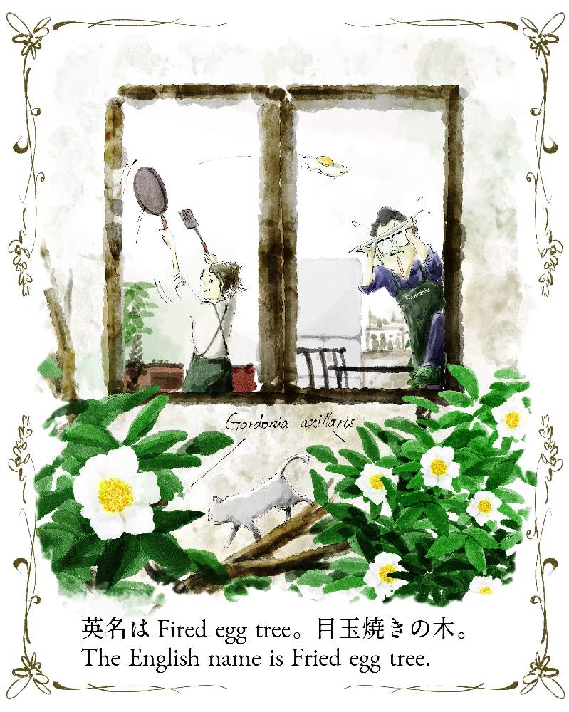 タイワンツバキの投稿画像 By Ichikawa Kazuhiroさん イラストと植物のイラスト 月11月 17日 Greensnap グリーンスナップ