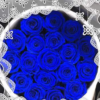 ブリザードフラワー✩の画像 by hirarinさん | 青い薔薇とお花屋さんと水曜ローズショーとブリザードフラワー✩とhirarinの薔薇