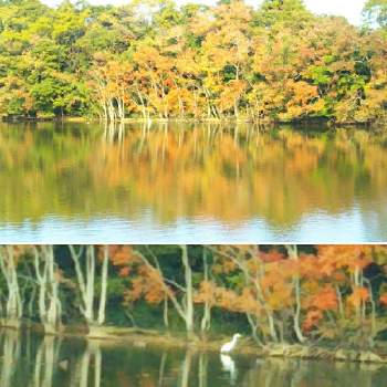 福岡、実家周辺の画像 by さあちゃんさん | お出かけ先と福岡、実家周辺と湖の水鏡